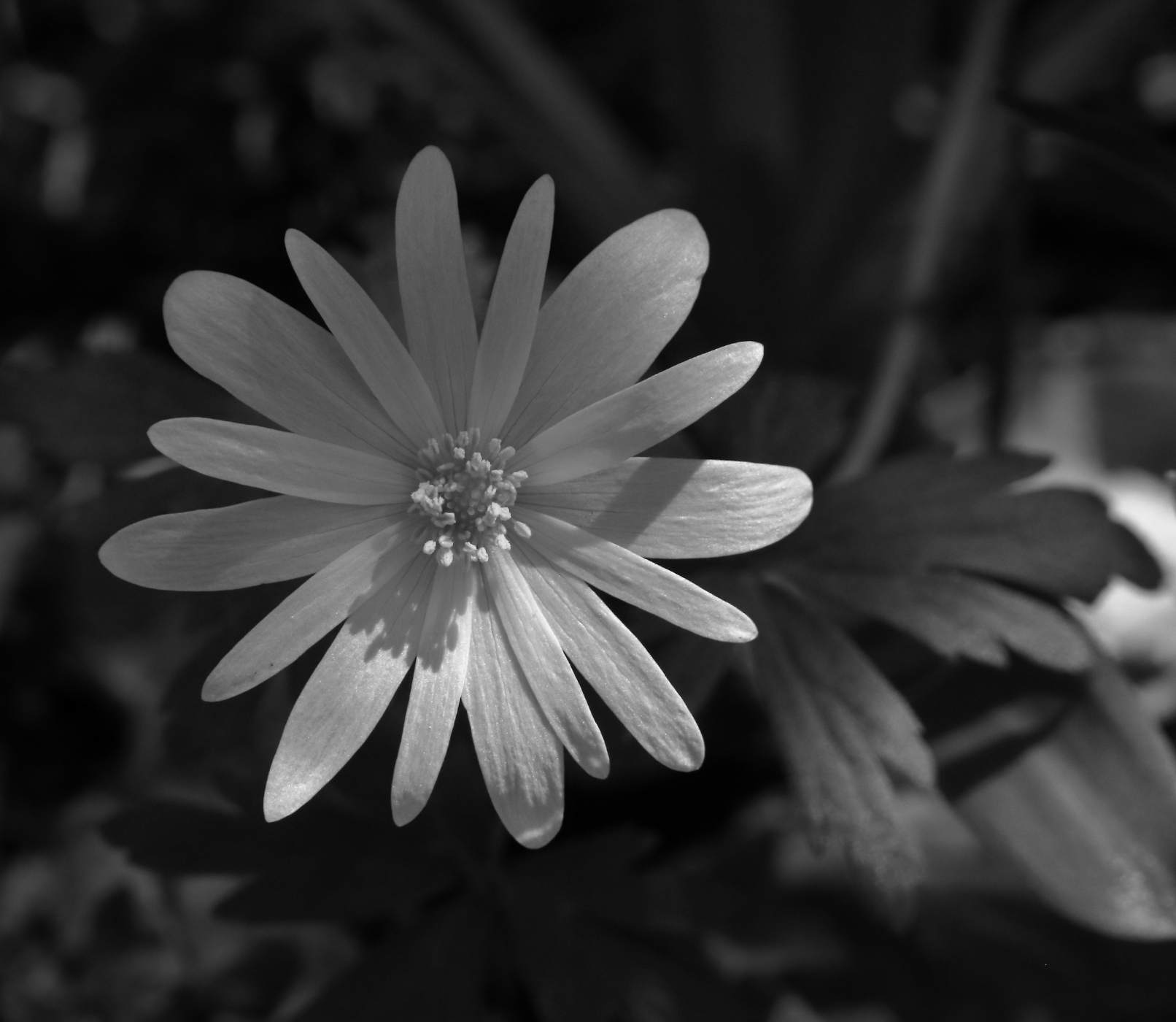 2021 04 18 HTP 50309ebw